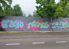 Graffiti Wall - Photo by Meckes