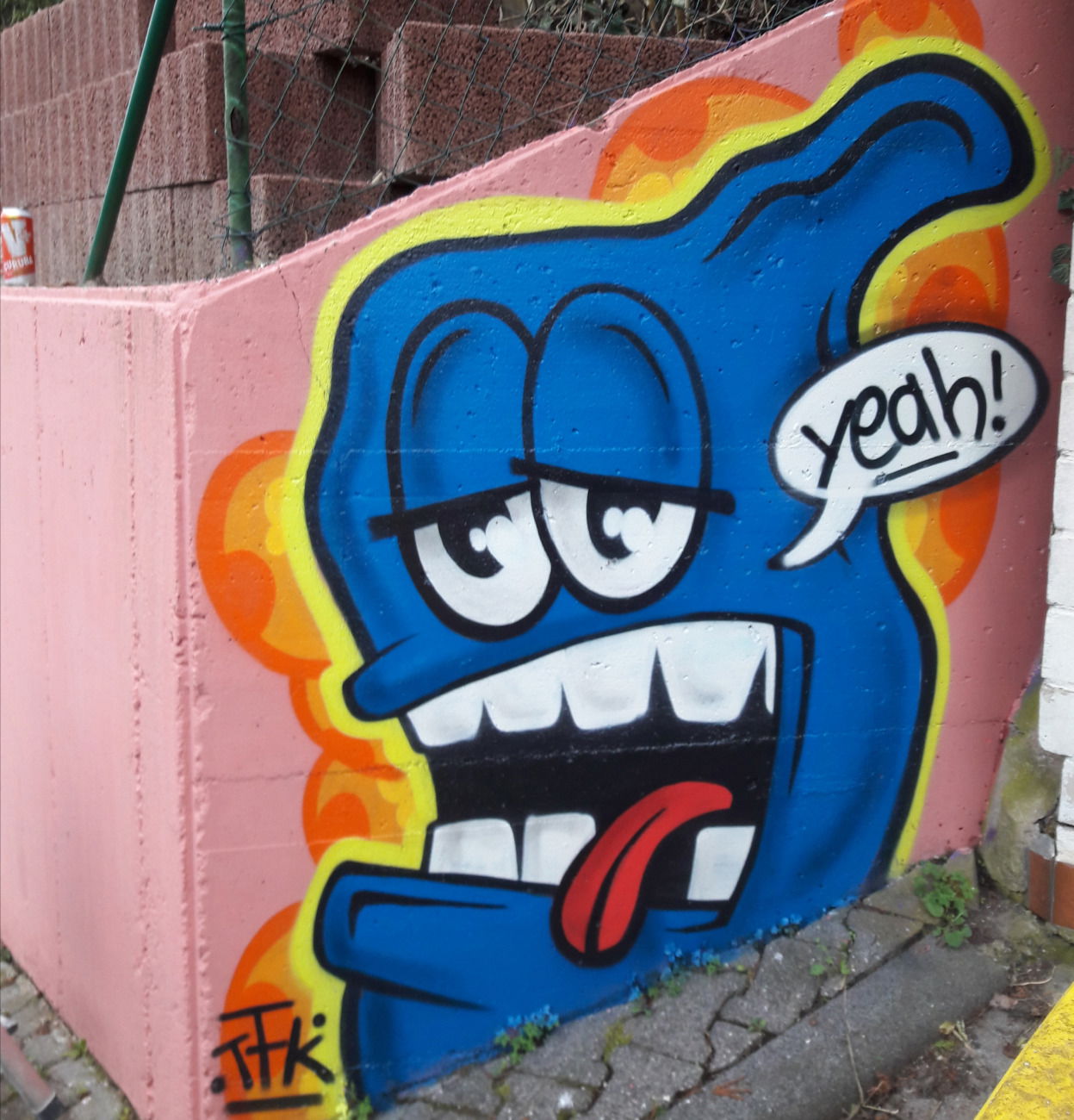 Graffiti Wall - Photo by Meckes