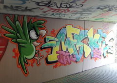 Graffiti Wall - Photo by Meckes