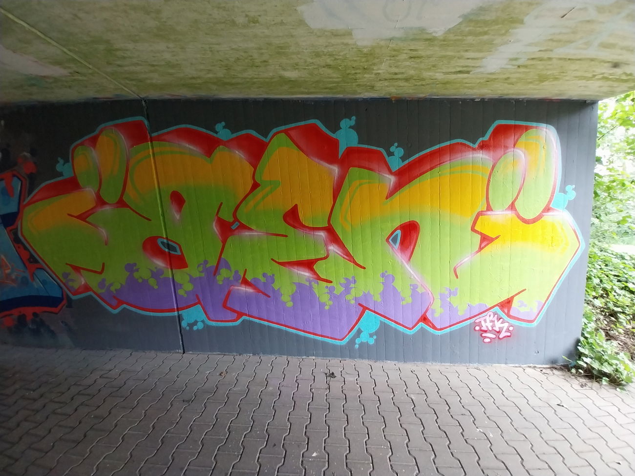 Graffiti Wall - Photo by Meckes