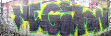 Graffiti Bombing - Photo by MegaFone