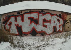 Photo #66864 by nearcrimekid