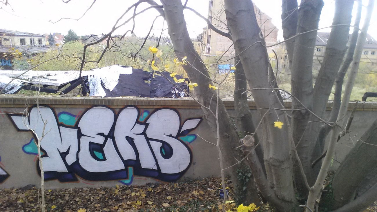 Graffiti Wall - Photo by Meks1 - Meks, leipzig, Graffiti (2017)