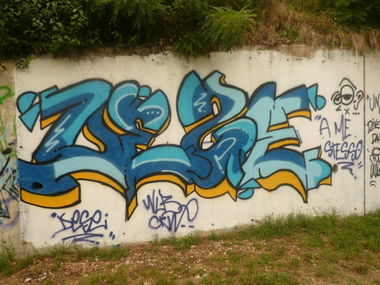 Graffiti Bombing - Photo by Melamaskeri129 (2013)