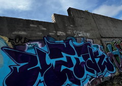 Photo #247245 by iobe1