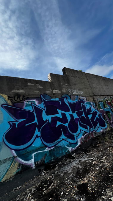 Graffiti Bombing - Photo by Melanholy - graffiti