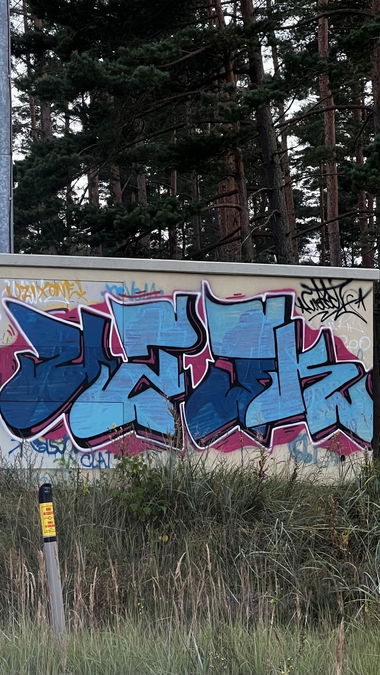 Graffiti Bombing - Photo by Melanholy - graffiti