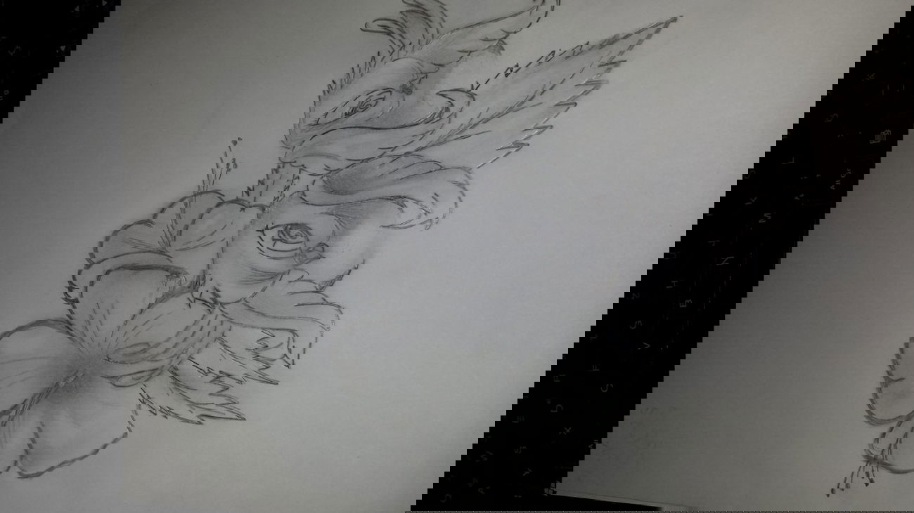 Graffiti Sketch - Photo by MeraOne - mera (2013)