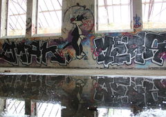 Photo #65198 by TheWallHunter