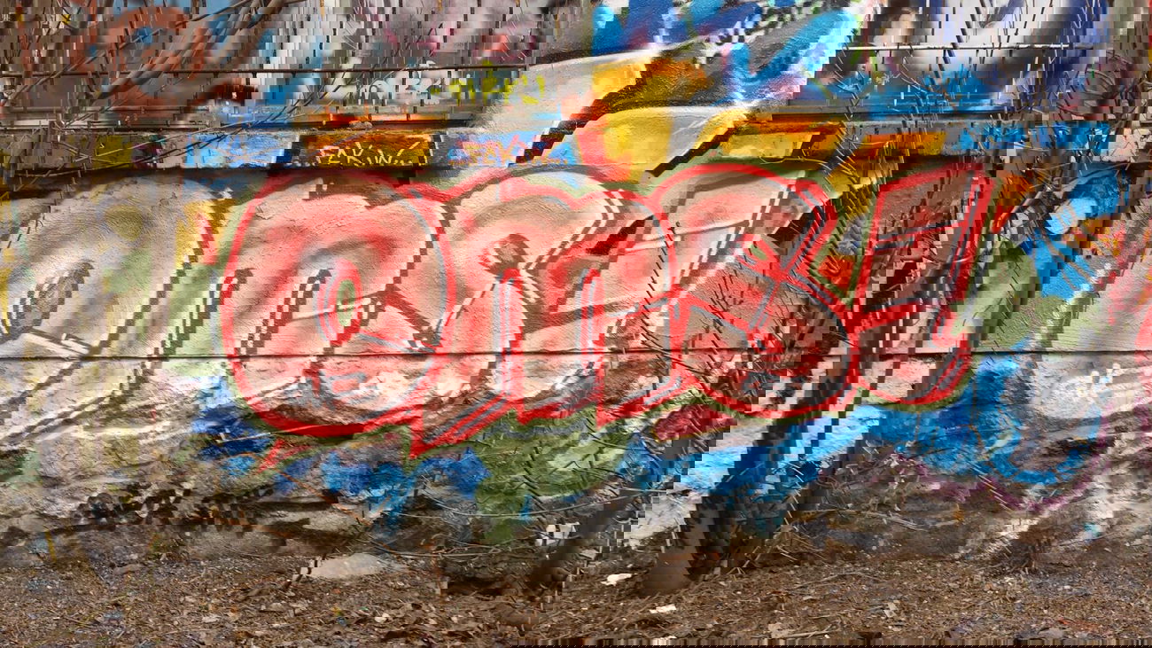 Graffiti Wall - Photo by MeraOne - oms (2014)