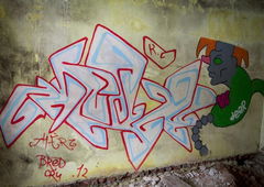 Photo #51129 by TagHagel