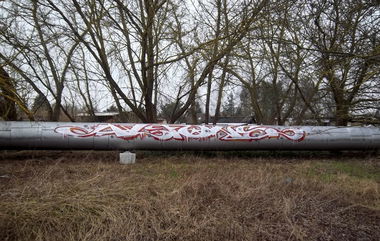 Graffiti Bombing - Photo by Meyerundschmidt - Alfons