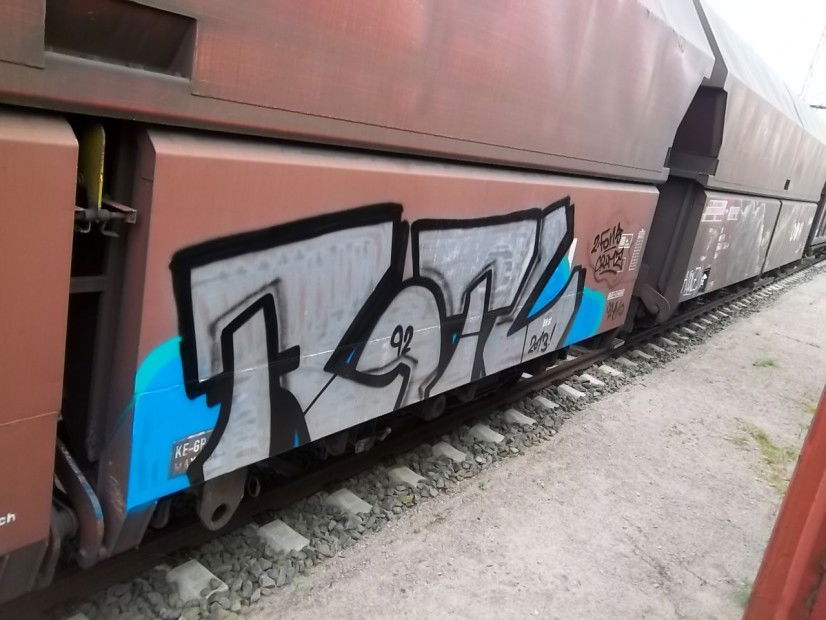 Graffiti Train - Photo by Meyerundschmidt - Rotl (2013)