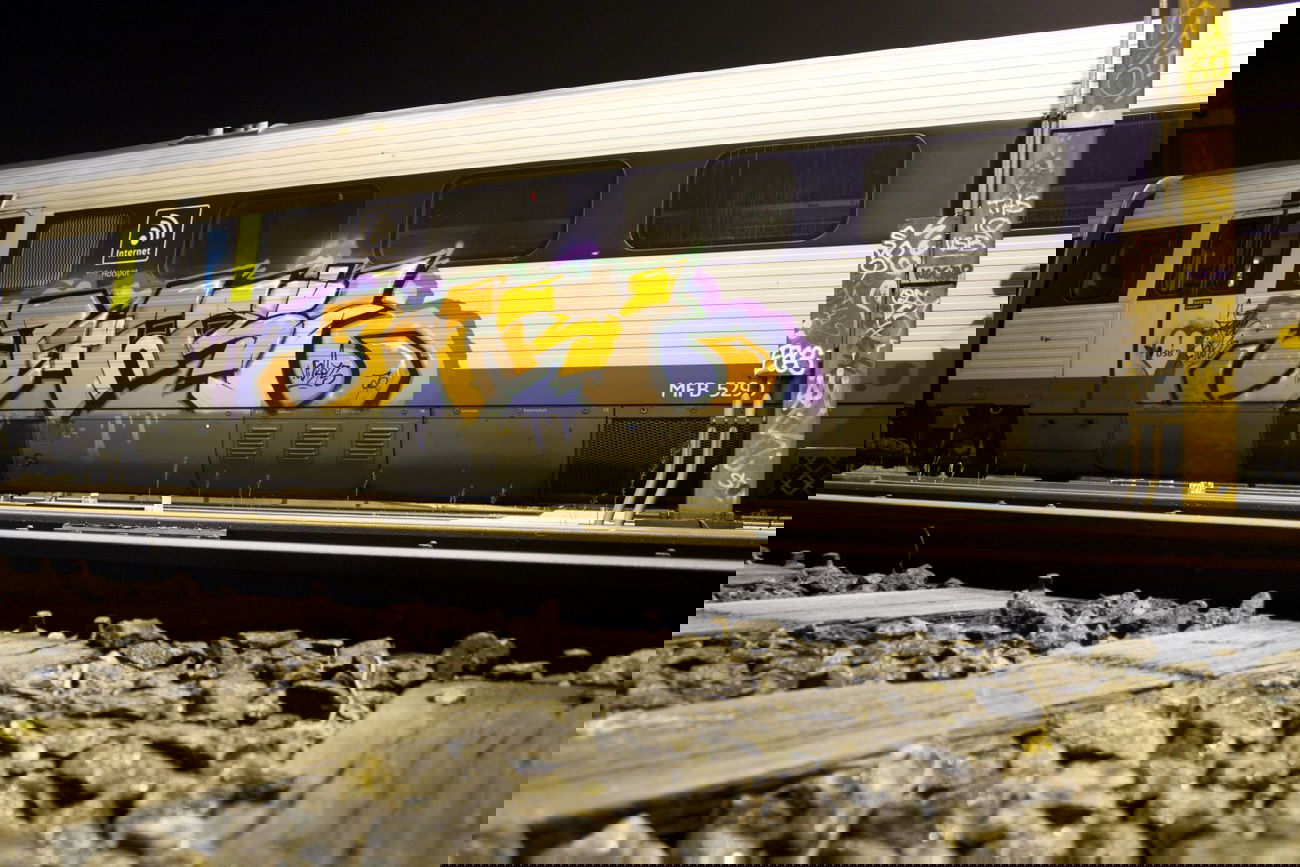 Graffiti Train - Photo by Meyerundschmidt - Juwel (2012)