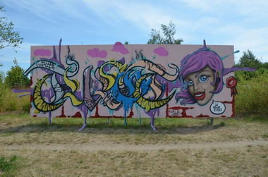 Graffiti Wall - Photo by Meyerundschmidt - Tolot (2013)