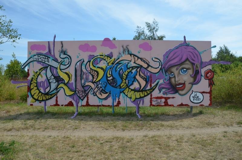 Graffiti Wall - Photo by Meyerundschmidt - Tolot (2013)