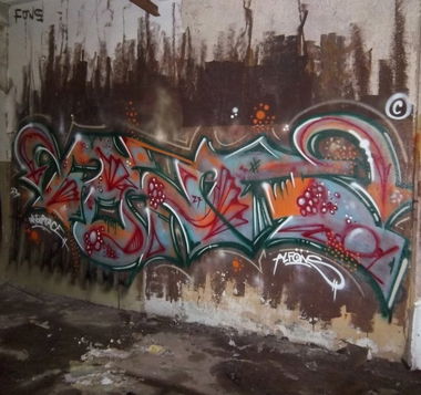 Graffiti Wall - Photo by Meyerundschmidt - Fons (2013)
