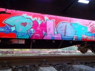 Graffiti Train - Photo by Meyerundschmidt - Pylot (2013)