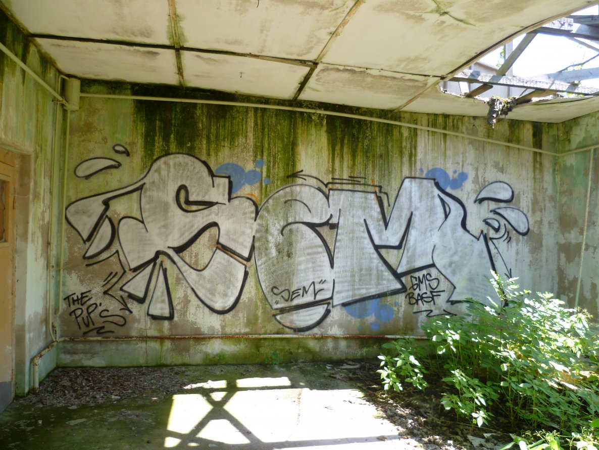 Graffiti Bombing - Photo by Meyerundschmidt - Sem, Basf, gms