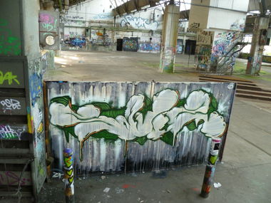 Graffiti Wall - Photo by Meyerundschmidt - Salz (2014)