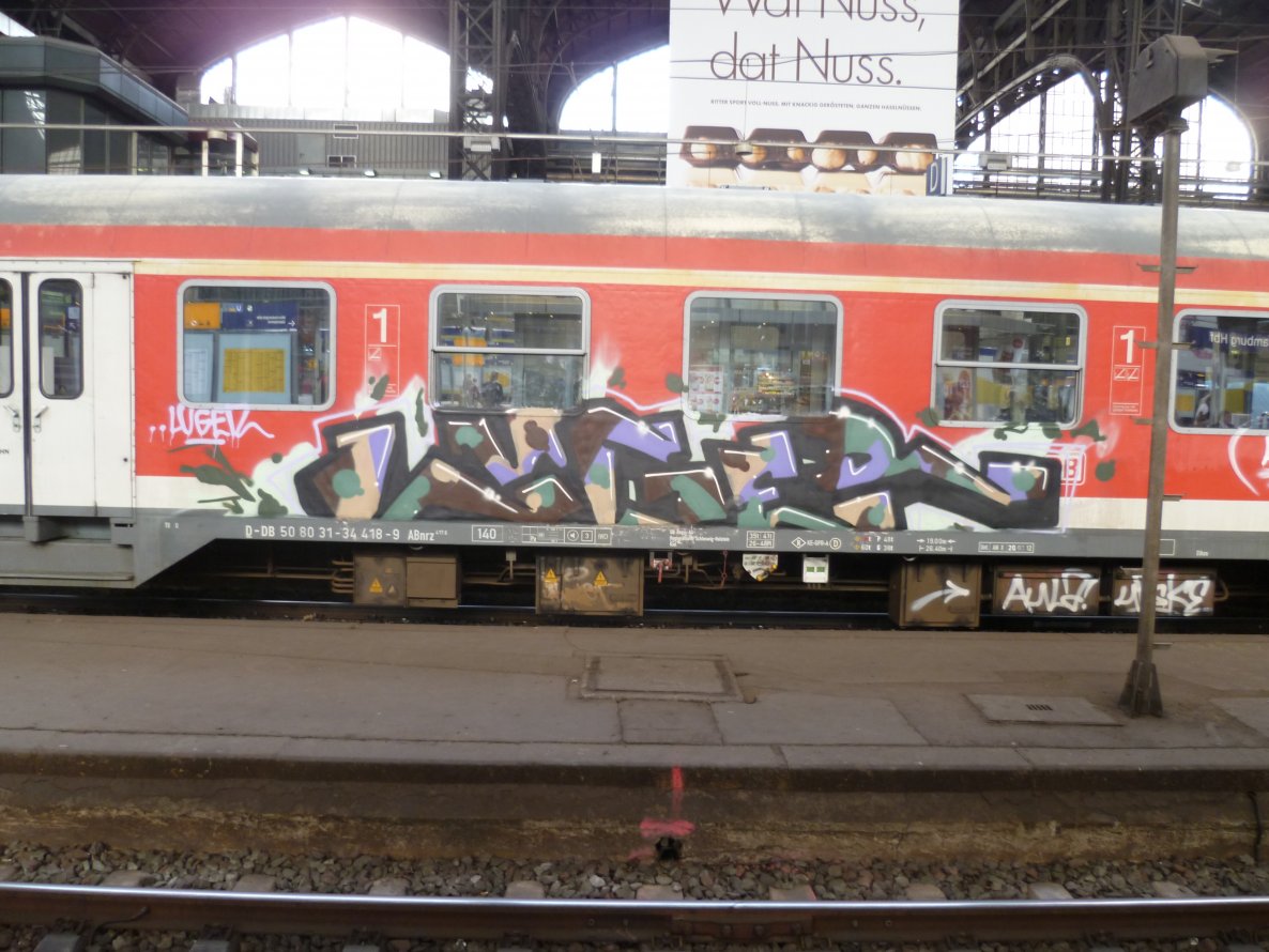 Graffiti Train - Photo by Meyerundschmidt - Luger