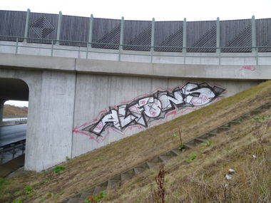 Graffiti Bombing - Photo by Meyerundschmidt - Alfons (2014)