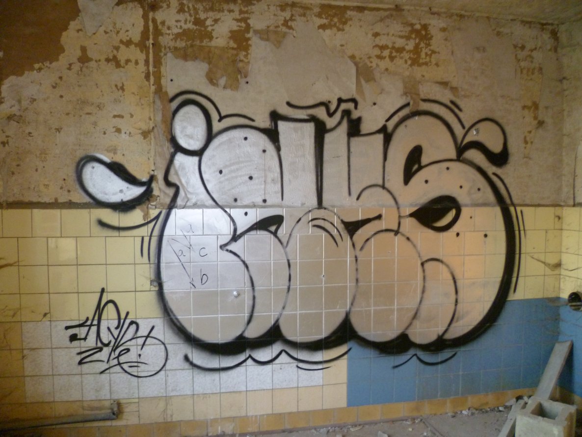 Graffiti Bombing - Photo by Meyerundschmidt - inks, Acys