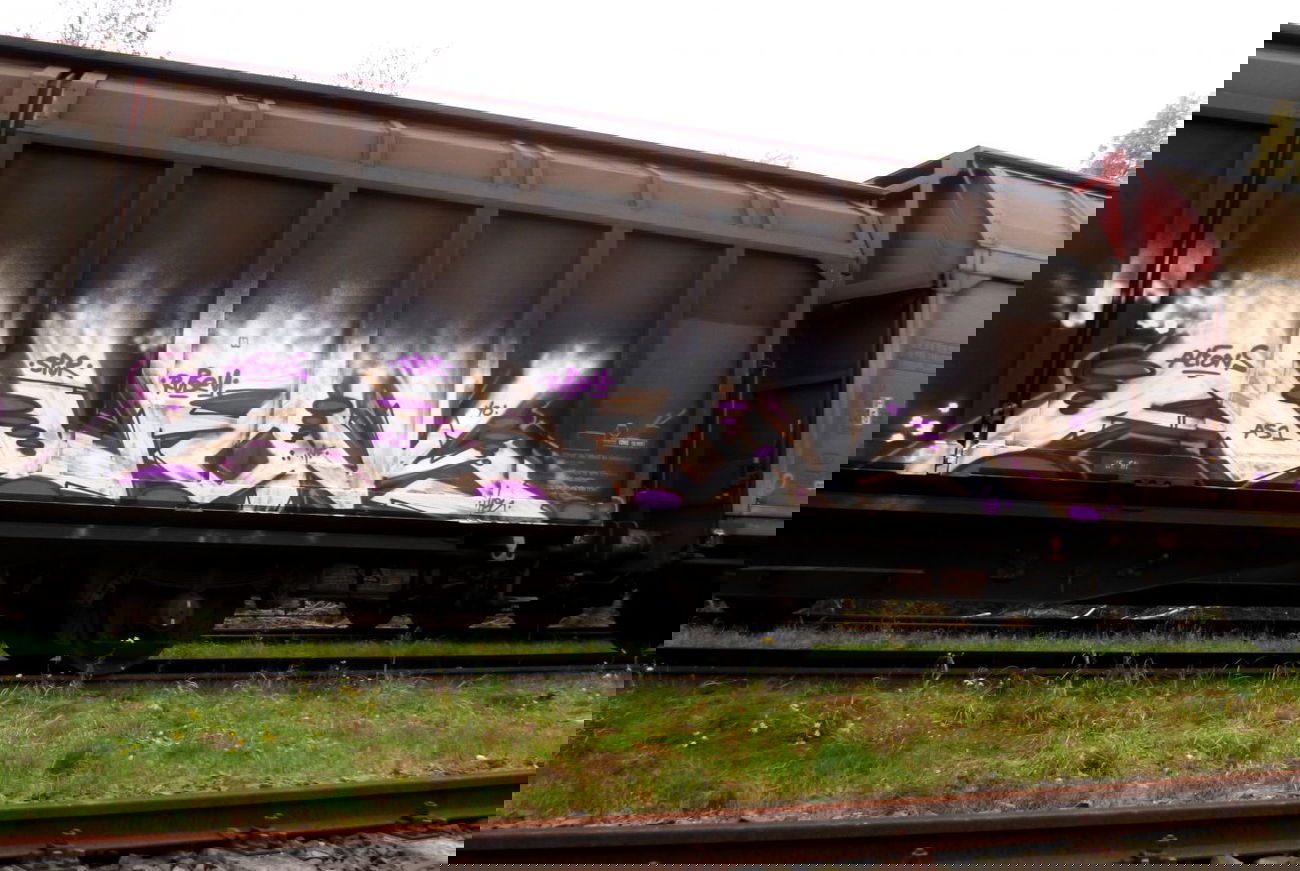Graffiti Train - Photo by Meyerundschmidt - Alfons