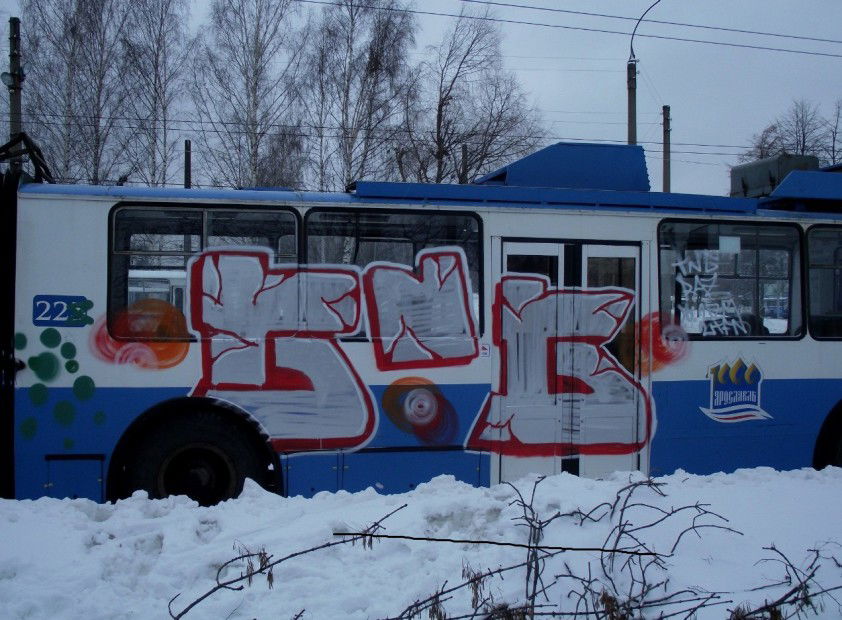 Graffiti Train - Photo by MiaksTngs