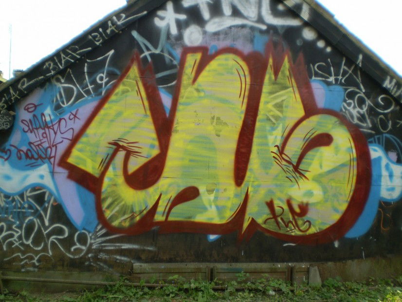 Graffiti Bombing - Photo by MiaksTngs