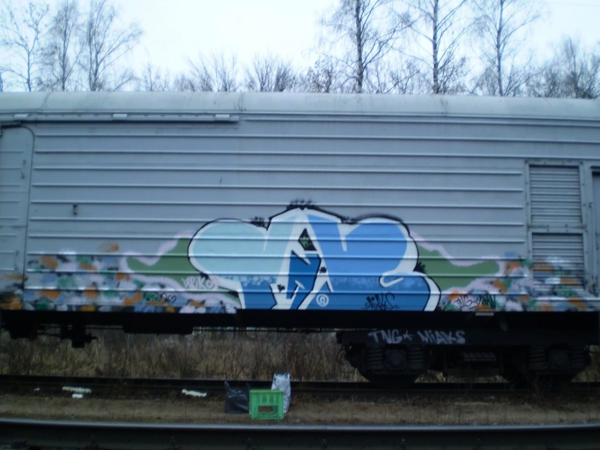 Graffiti Train - Photo by MiaksTngs