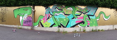 Graffiti Wall - Photo by MichaelError - Ace, Me, Sd