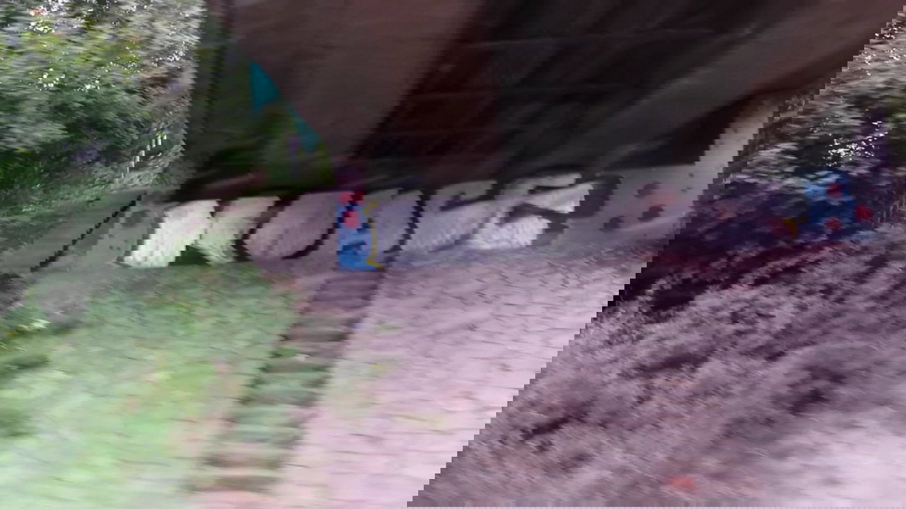 Graffiti Bombing - Photo by MichaelError