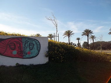 Graffiti Wall - Photo by MigMig