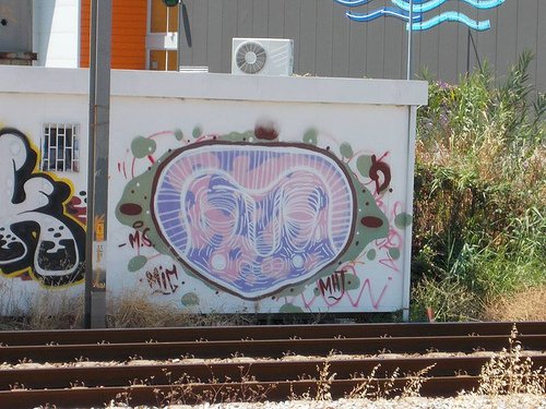 Graffiti Bombing in Portugal - Photo by MigMig