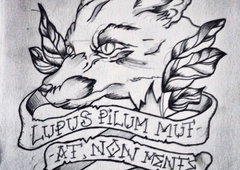 Photo #72087 by ServusOne