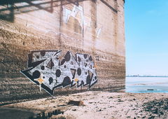 Photo #236098 by NDUCT