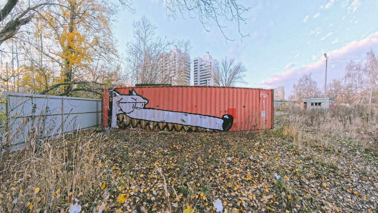 Graffiti Wall in казан - Photo by Mikulishna - streetpins, streetculture, urbanstyle (2025)