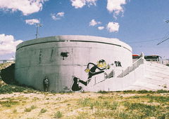 Photo #249022 by NDUCT