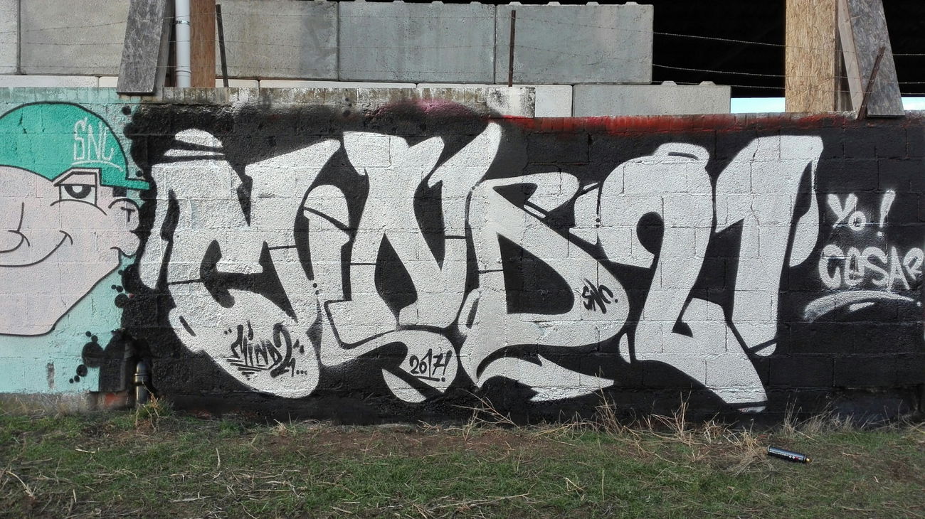 Graffiti Sketch - Photo by Mind21 (2017)