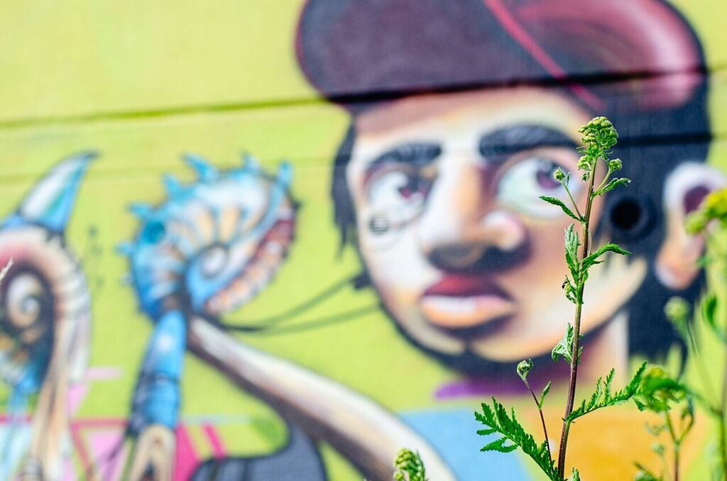 Graffiti Wall - Photo by Mind21 (2018)