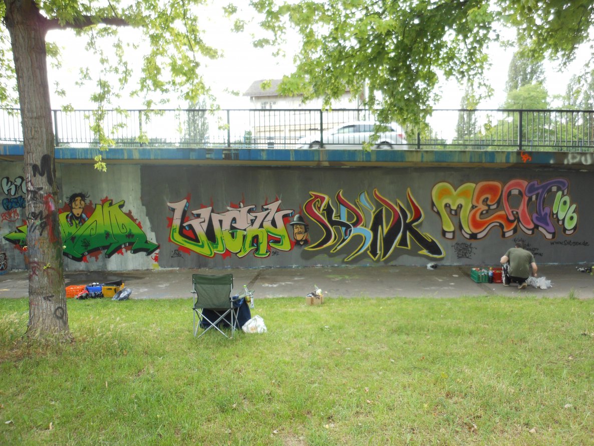 Graffiti Wall - Photo by Mind21 - mind21, shrink, meat (2013)