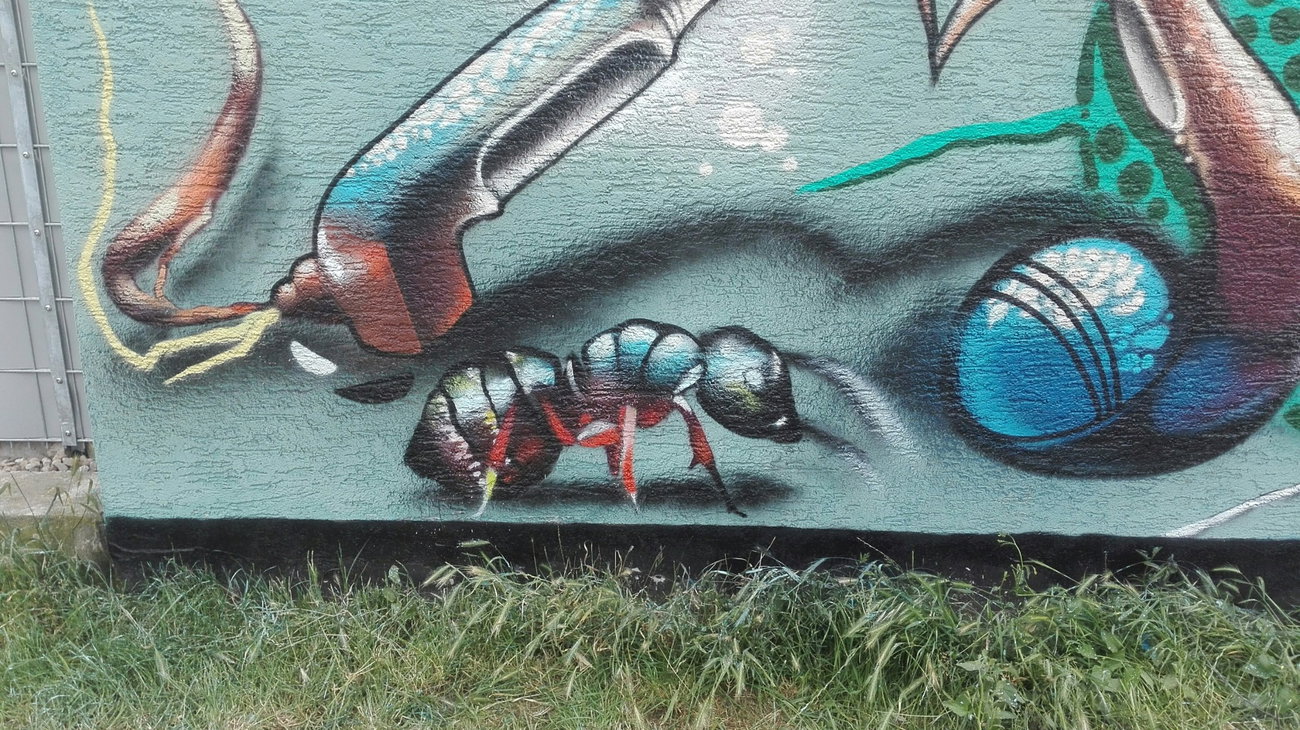 Graffiti Wall - Photo by Mind21 - mind21snc (2017)