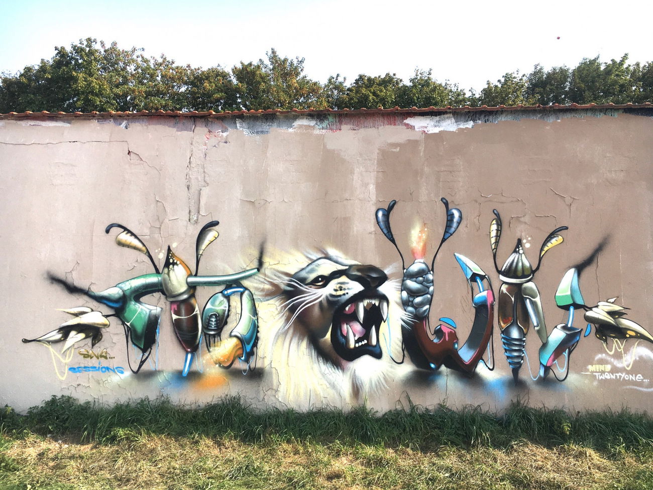 Graffiti Wall - Photo by Mind21 - mind21, sec (2020)