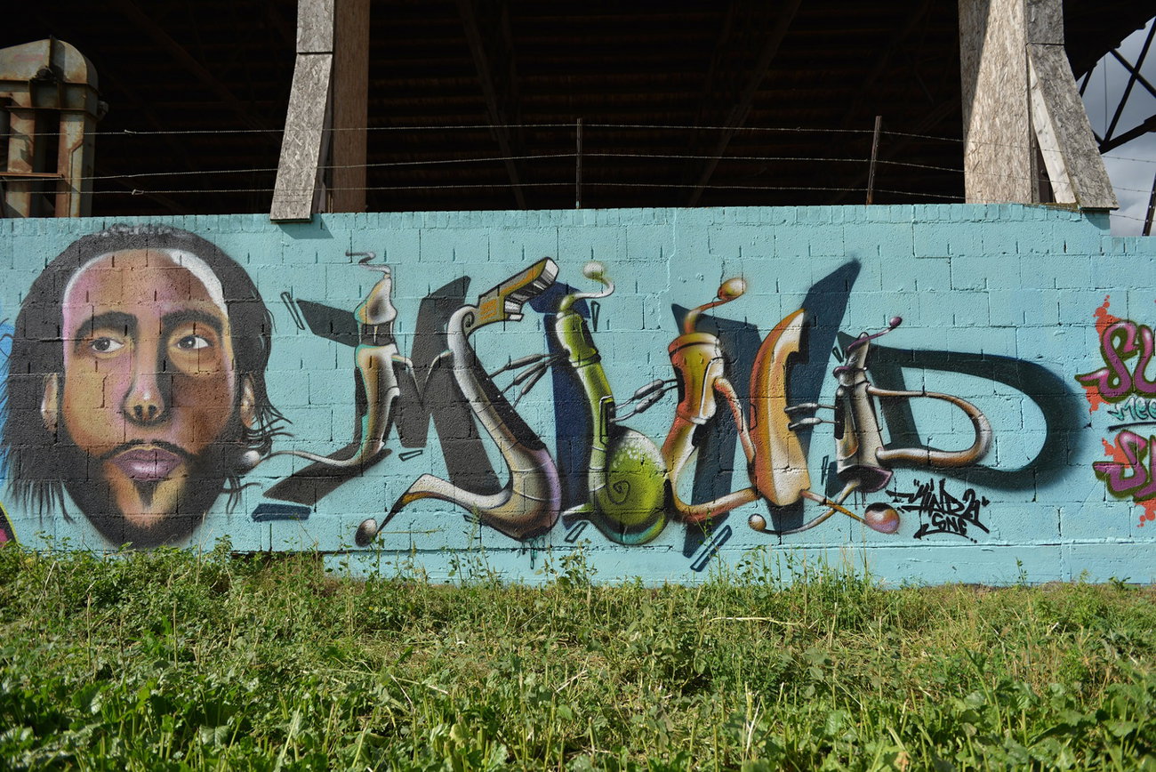 Graffiti Wall - Photo by Mind21 - MIND21, odk, odk (2016)