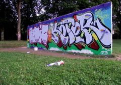 Photo #20325 by STEK64er