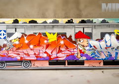 Graffiti Train - Photo by Minu - fabianominu, arteurbana, fantasticforce (2020)