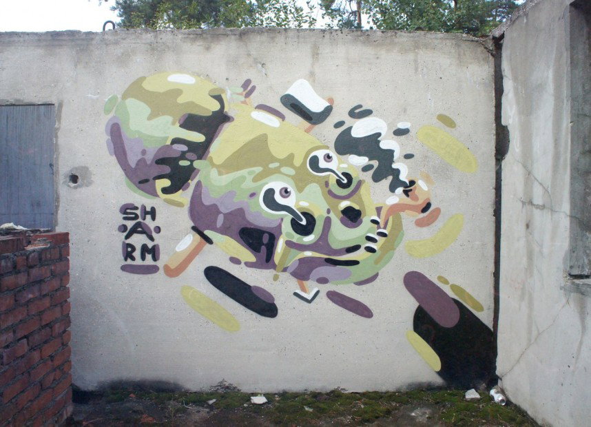 Graffiti Wall in MO - Photo by MishaSharm - skull (2012)
