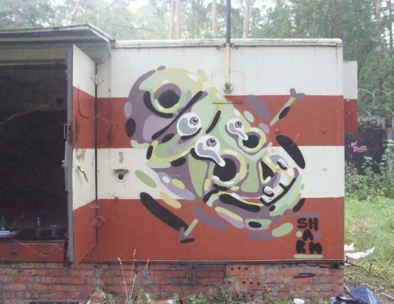 Graffiti Wall in MO - Photo by MishaSharm - skull, arrow (2012)