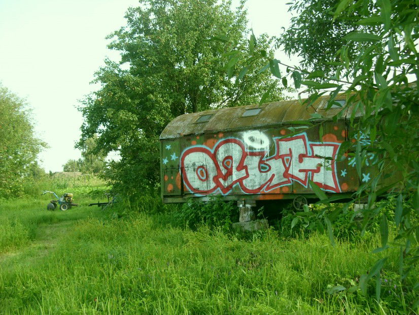Graffiti Bombing - Photo by Misha_Odin - graffiti, odin, ???? (2013)
